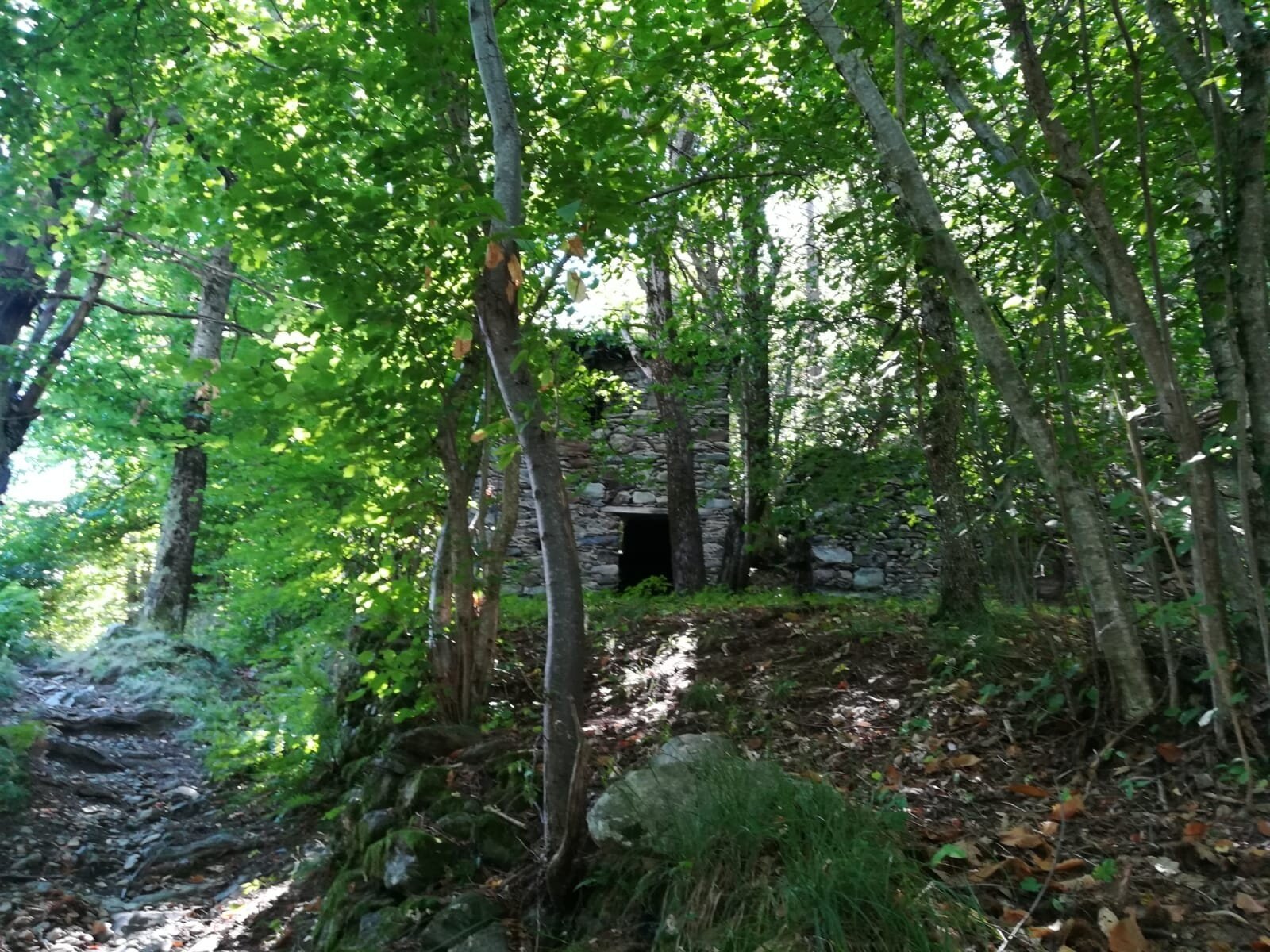 Img2 96363944 Default Variant