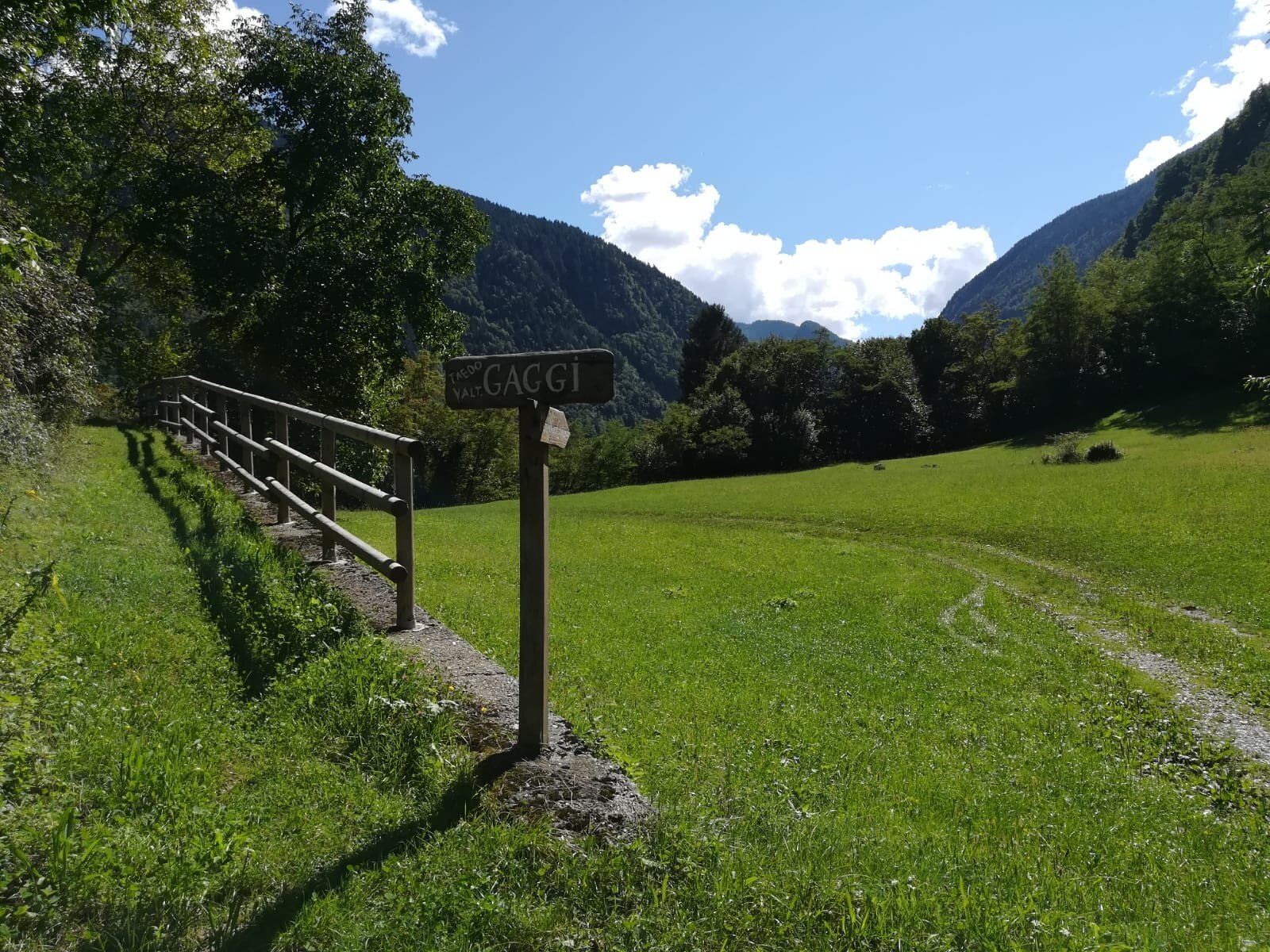 Img2 96363949 Default Variant