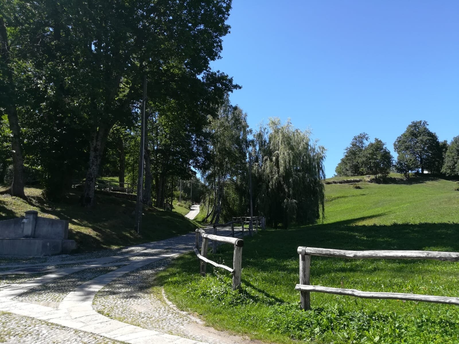 Img2 96363951 Default Variant