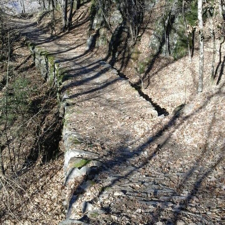 Img2 96363956 Default Variant