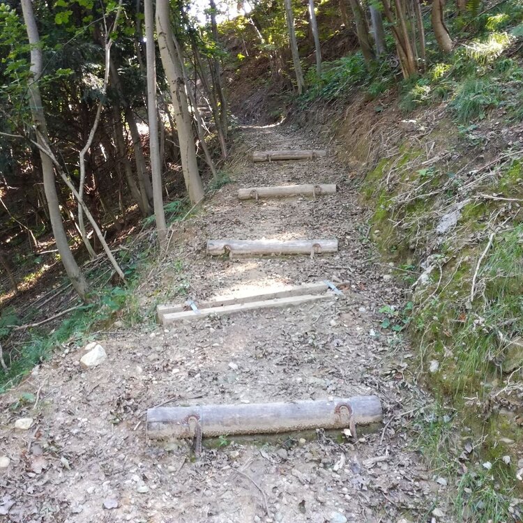 L'anello delle Cassandre