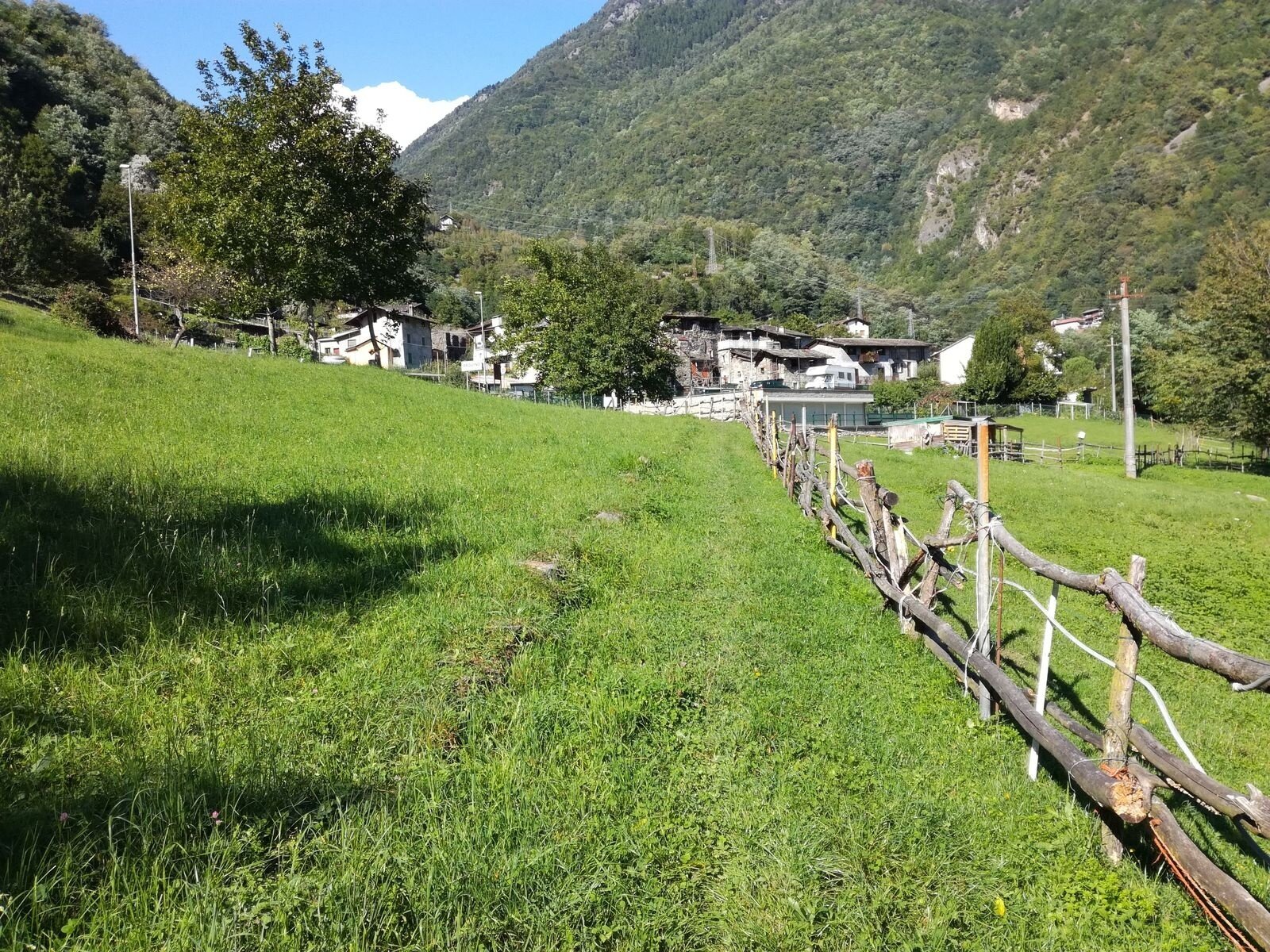 Img2 96364007 Default Variant