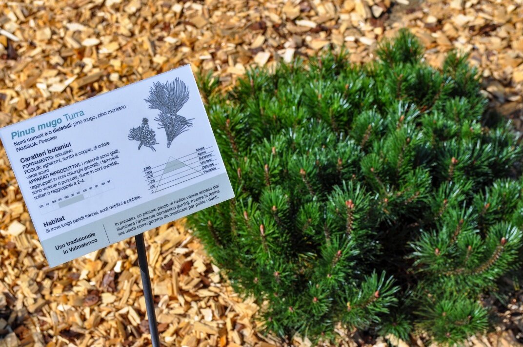 Img2 601457330 Default Variant