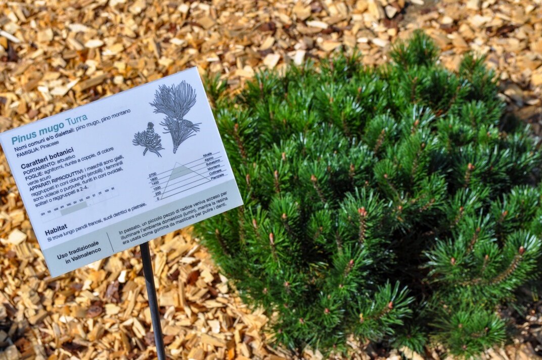 Img2 601457330 Default Variant