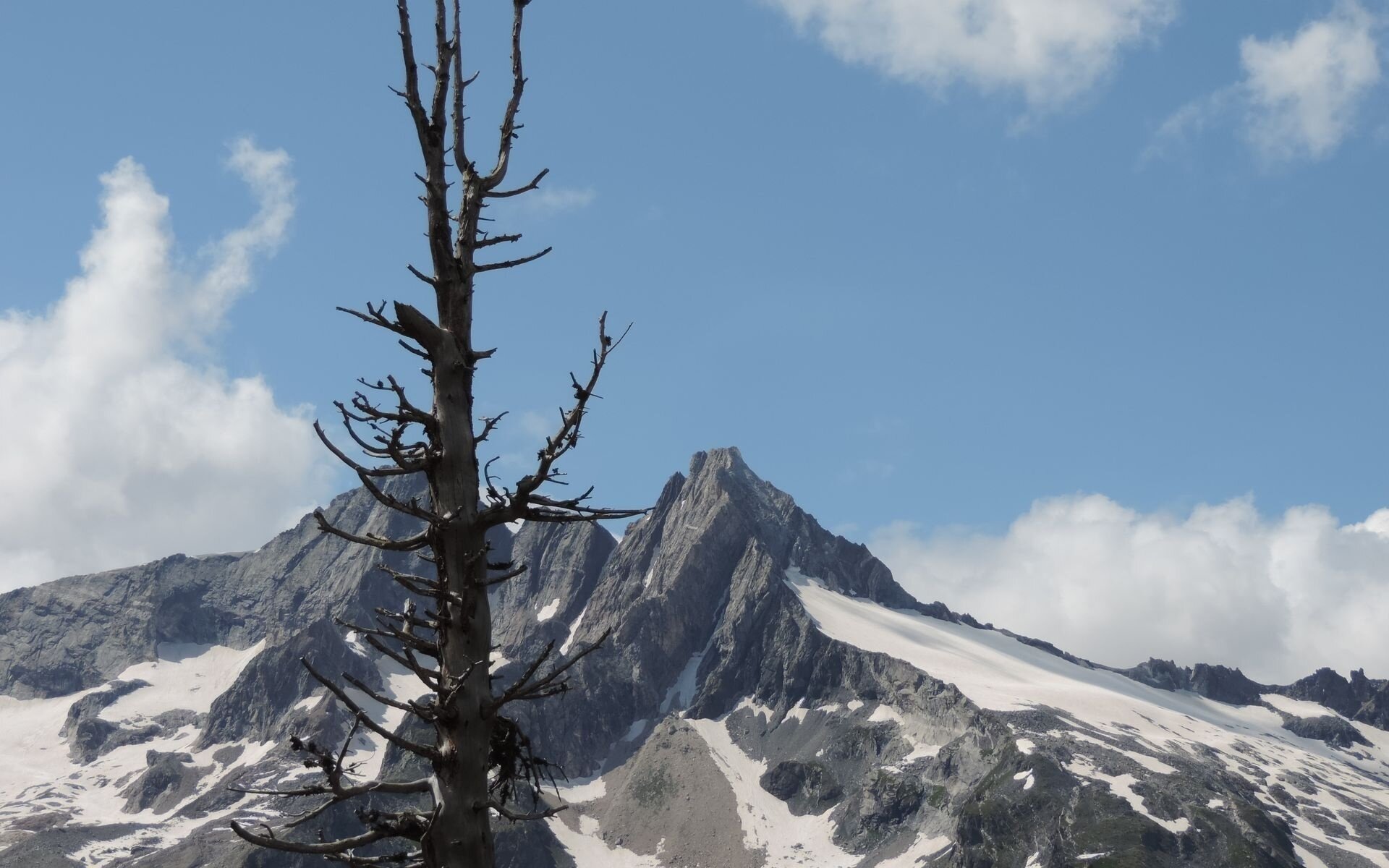 Img2 96363932 Default Variant