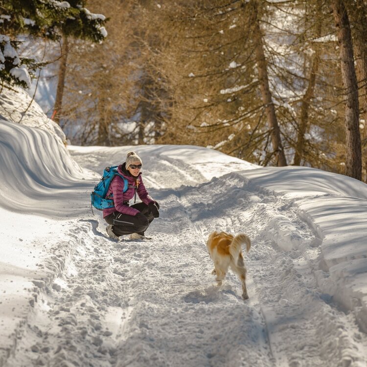 The Monte Giovello Trail 804595956