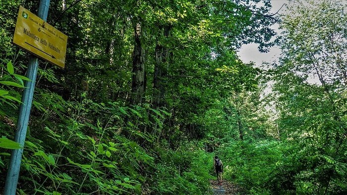 Img2 96363871 Default Variant