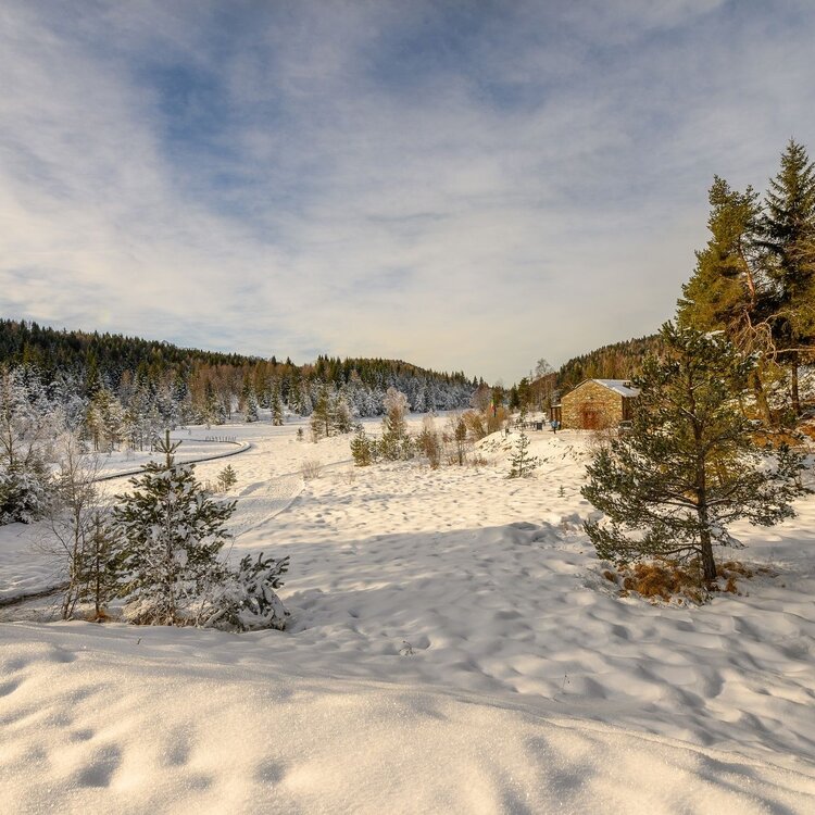 The 'Nature Reserve' path