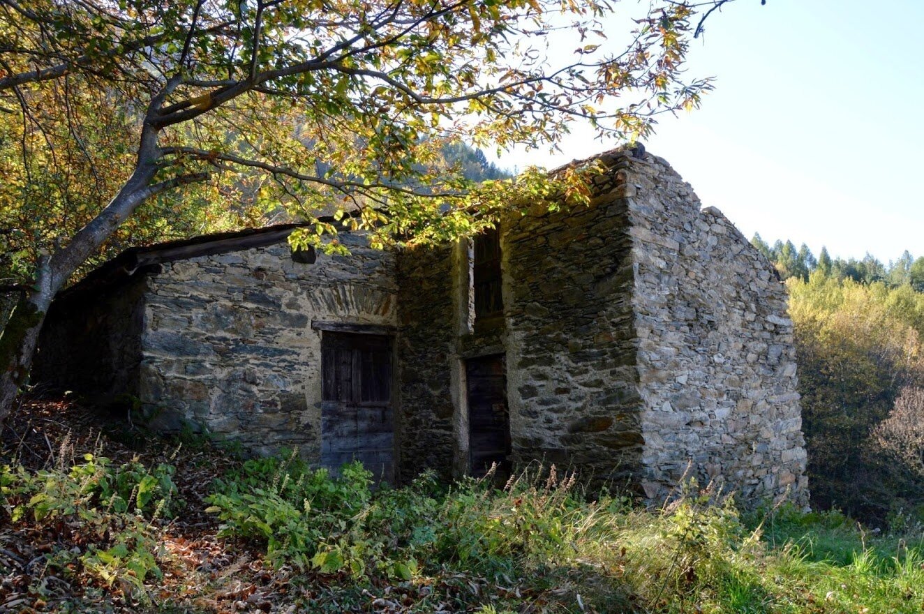 Img2 96363909 Default Variant