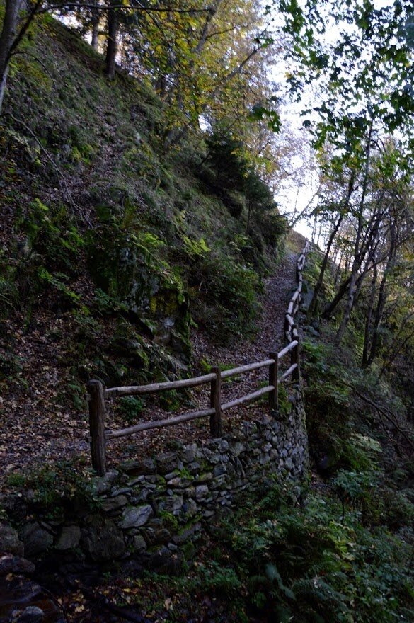 Img2 96363912 Default Variant