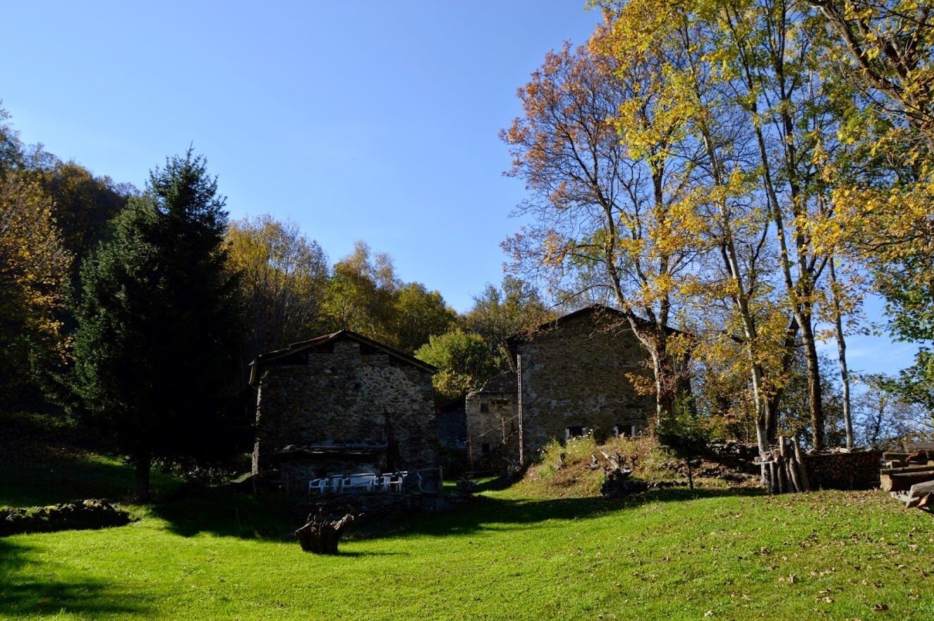 Img2 96363914 Default Variant