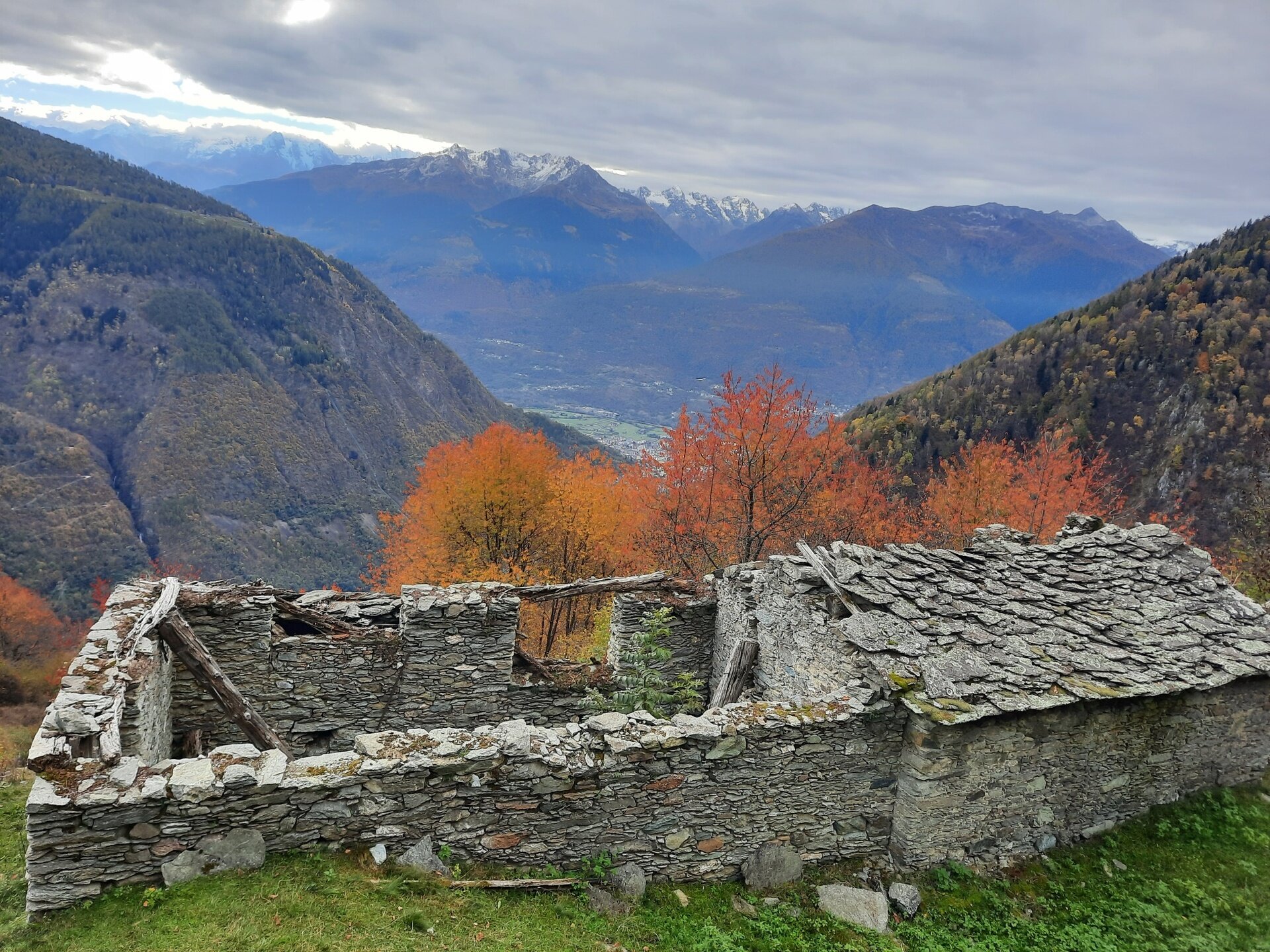 Img2 621909222 Default Variant