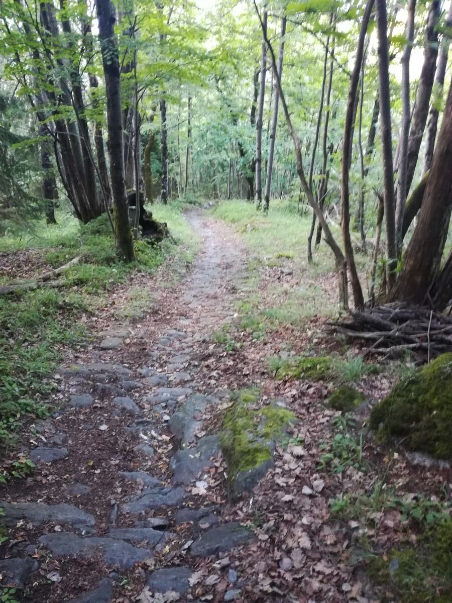 Img2 96363873 Default Variant