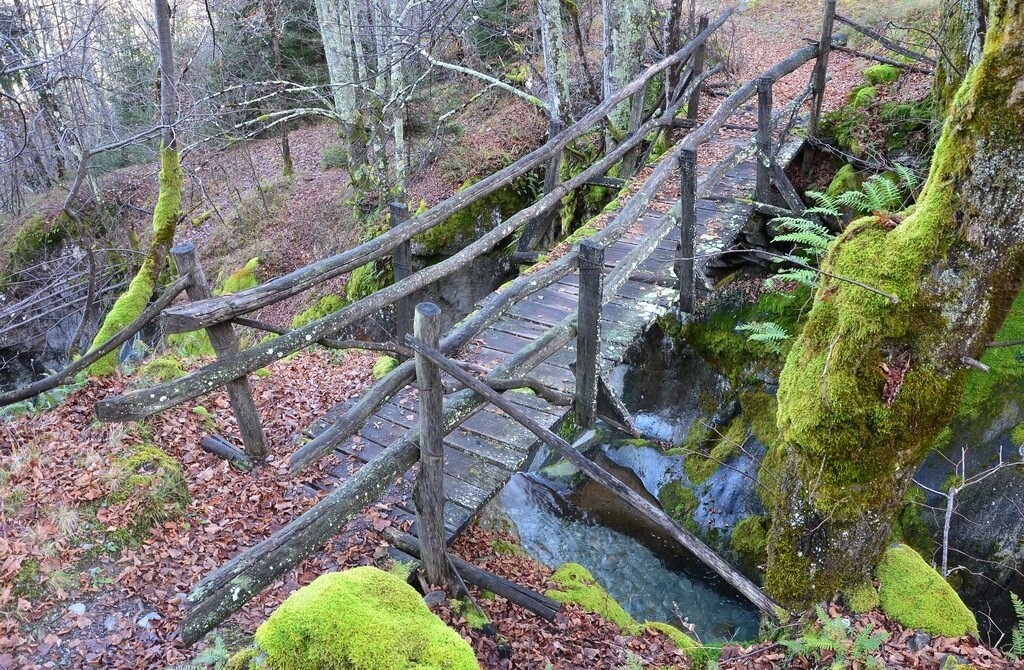 Img2 96363874 Default Variant