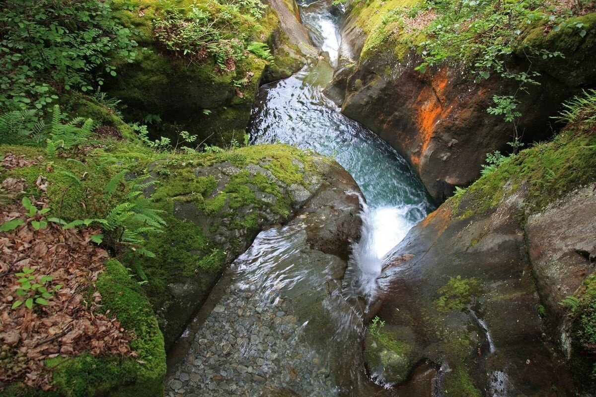 Img2 96364544 Default Variant