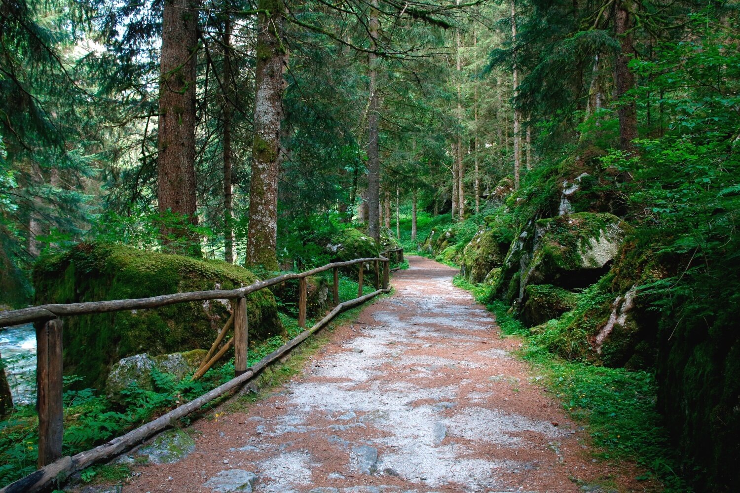 Img2 623914658 Default Variant