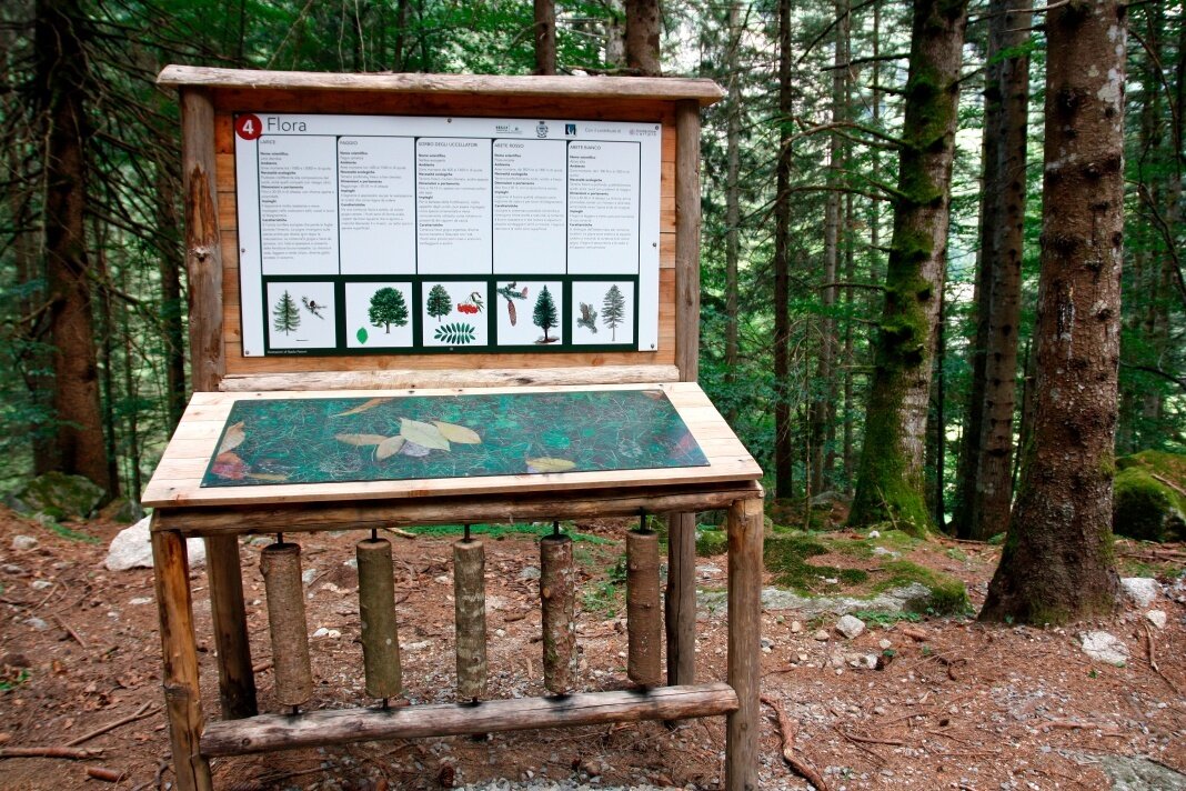 Img2 623914659 Default Variant