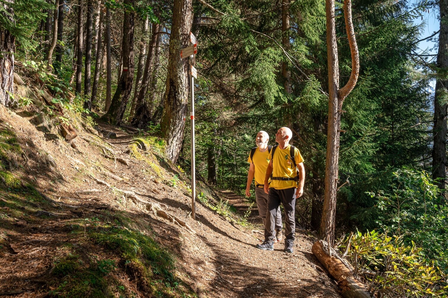 Img2 97972403 Default Variant