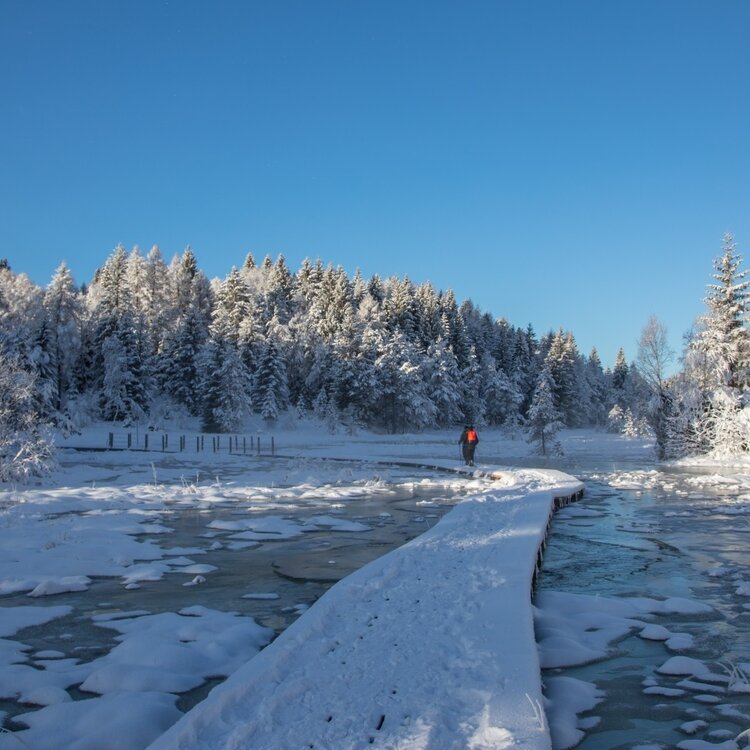 La passeggiata con le ciaspole in Pian di Gembro