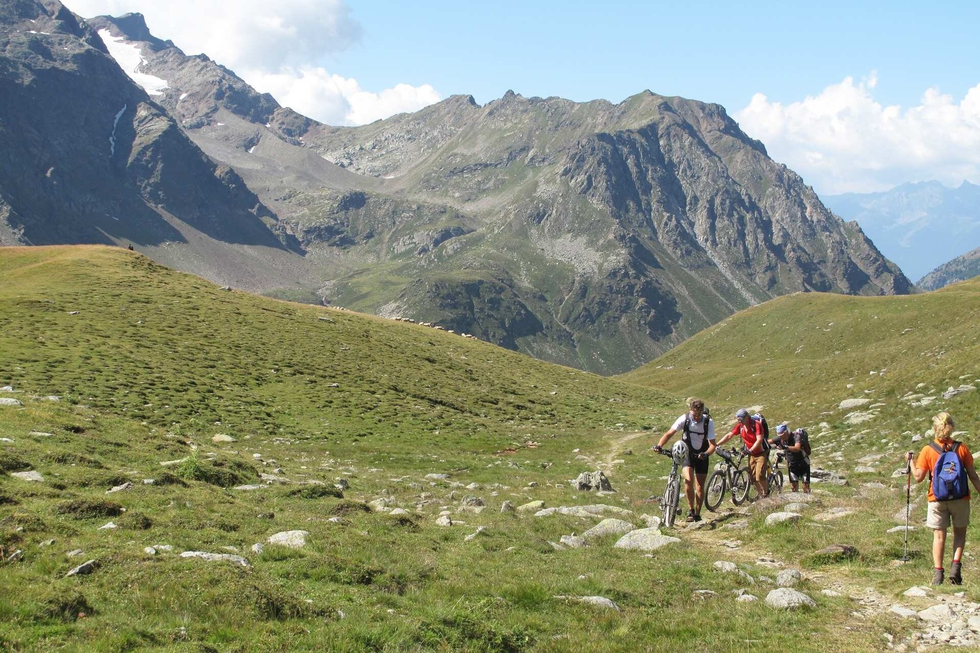 Img2 96363858 Default Variant