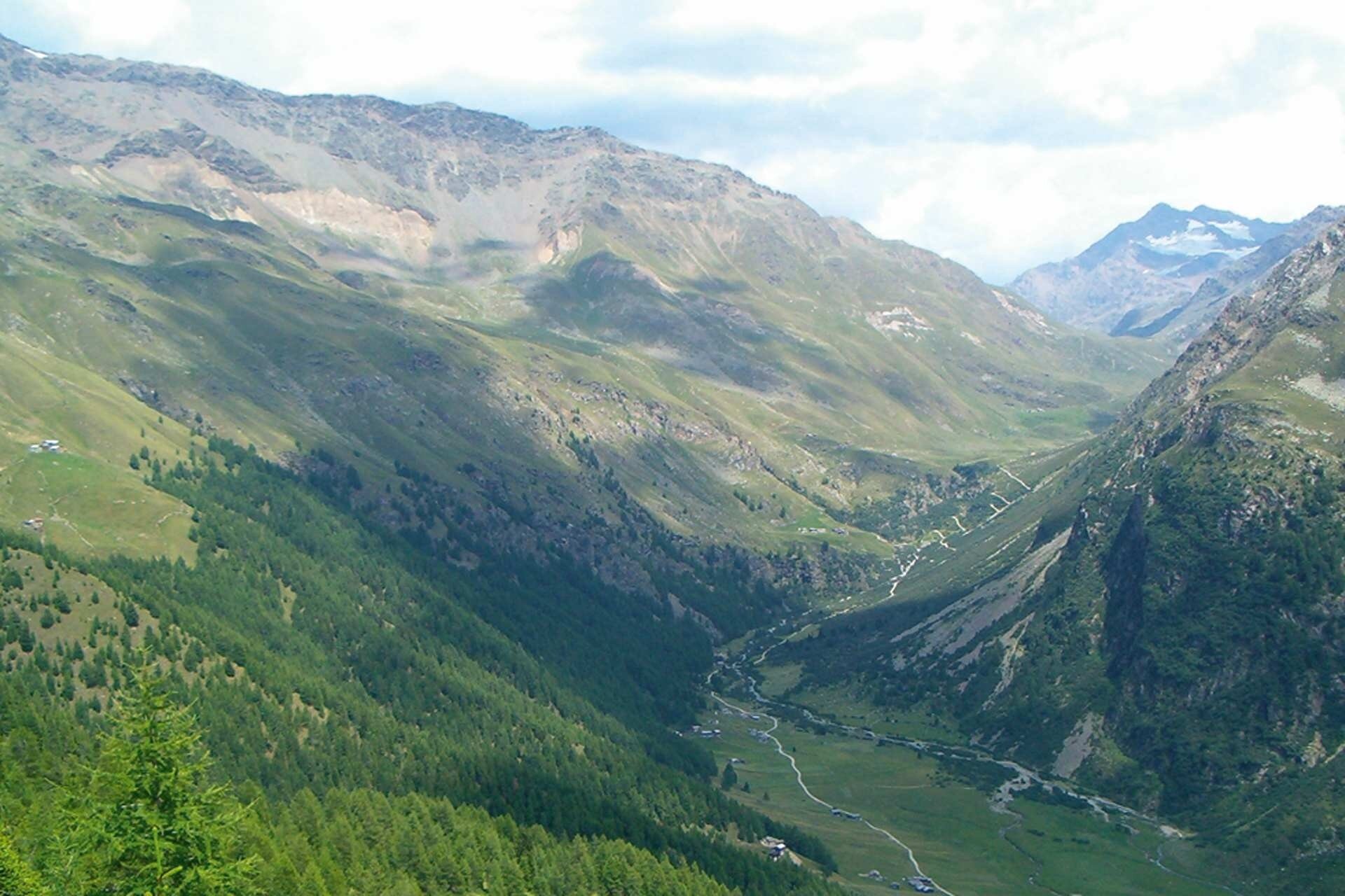 Img2 96363862 Default Variant