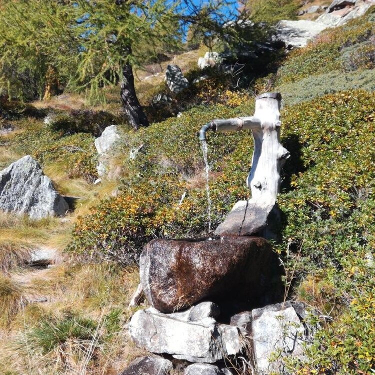 La Valle della Vicima