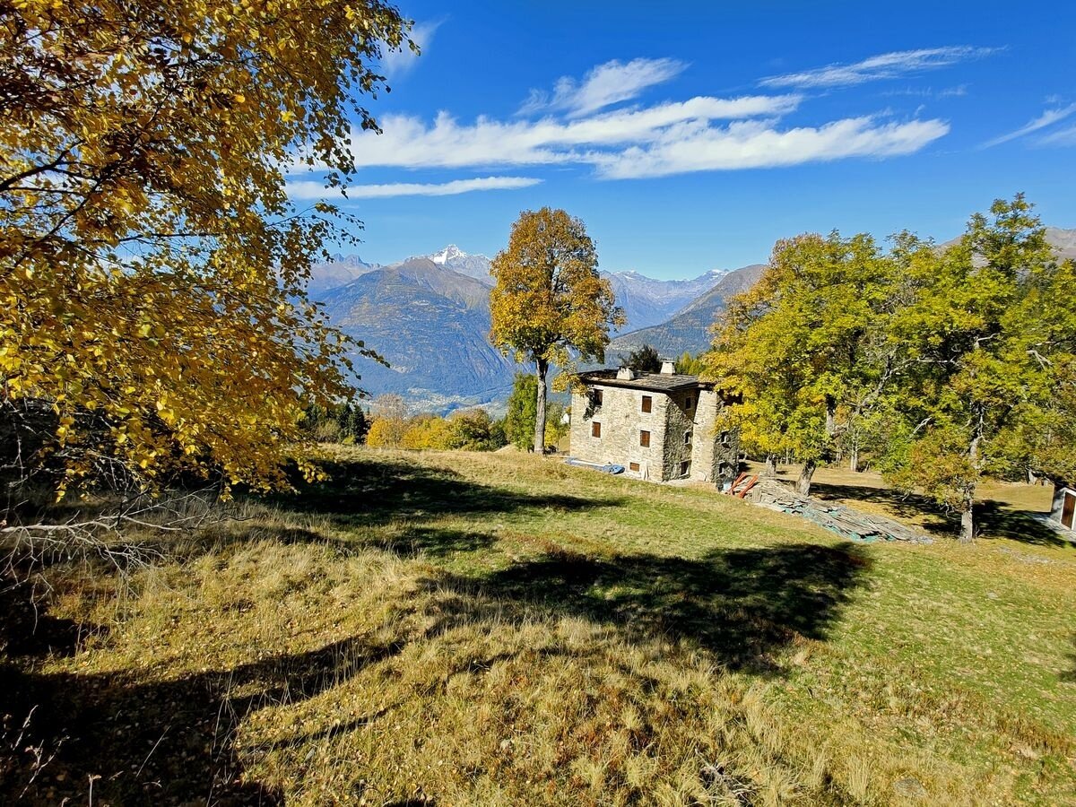 Img2 96364524 Default Variant