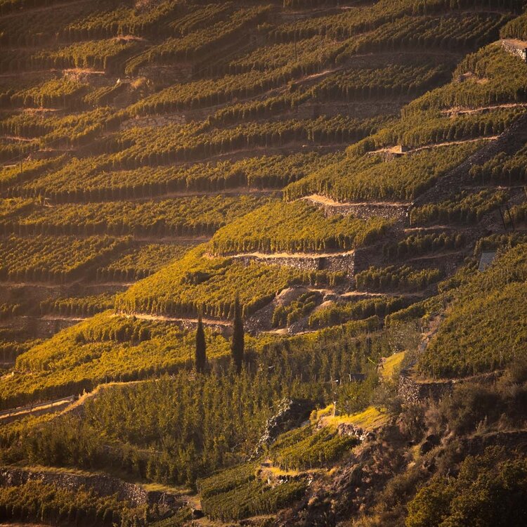 Tirano terracing