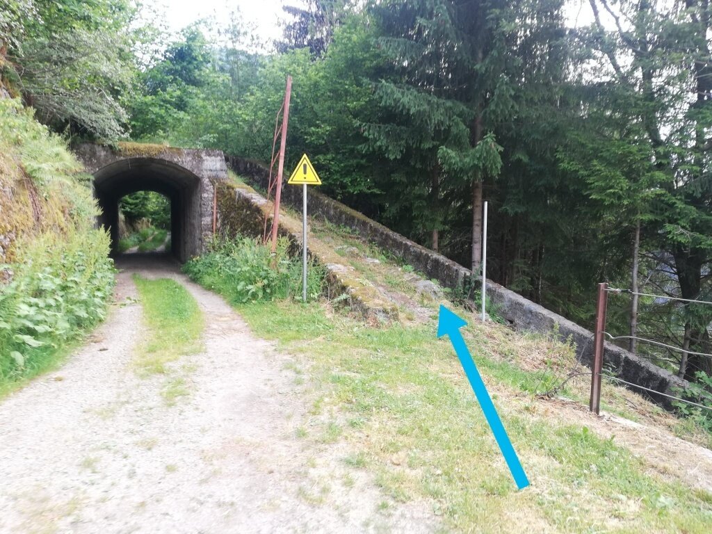 Img2 96364534 Default Variant