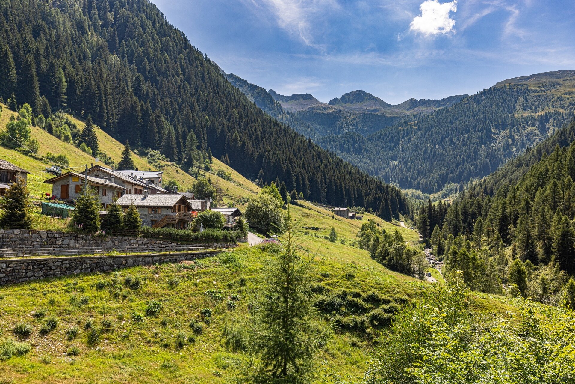 Img2 618271113 Default Variant