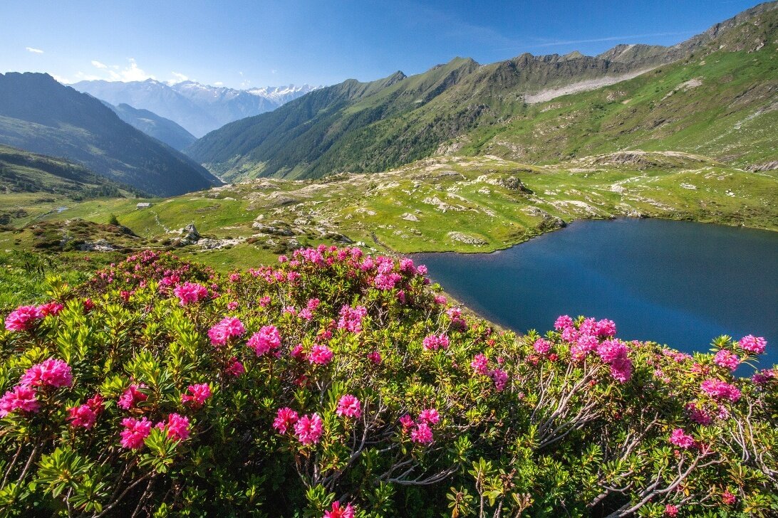 Img2 618271114 Default Variant