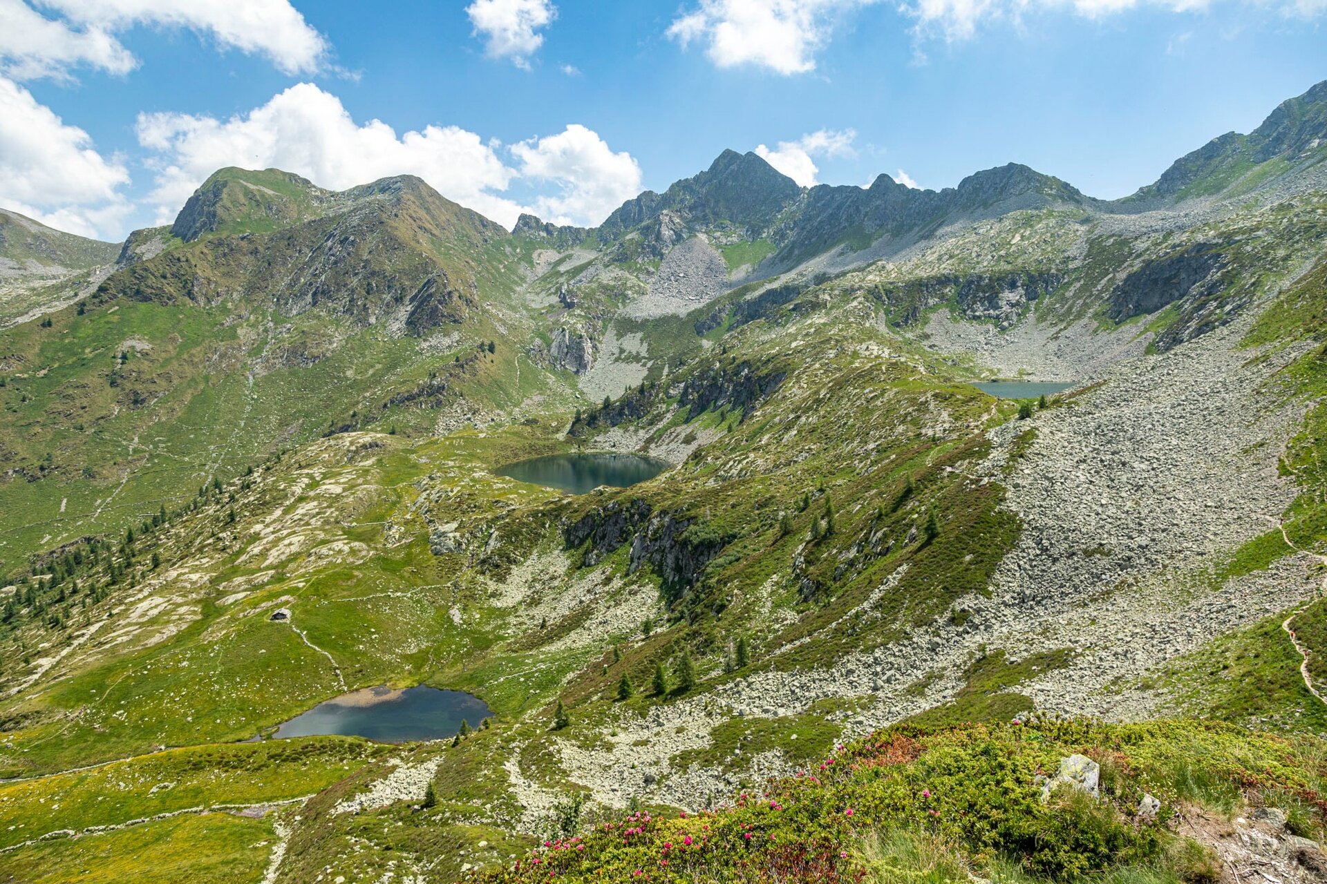 Img2 618271115 Default Variant