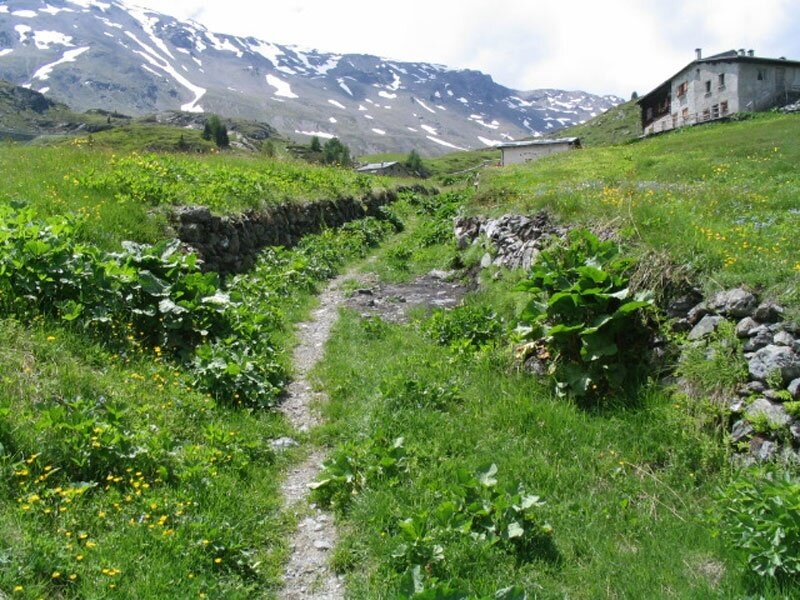 A small path, enough to pass with your two wheels!
