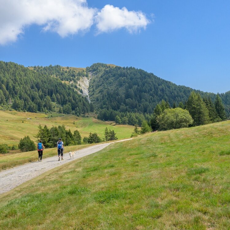 Tour of Mount Giovello