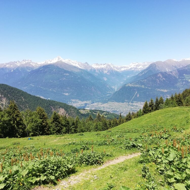 VERSO CAMPIOLO e LE CORNE