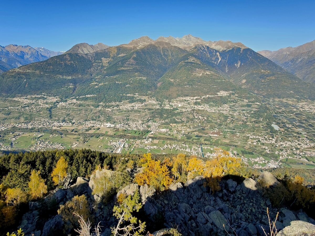 Img2 96364525 Default Variant