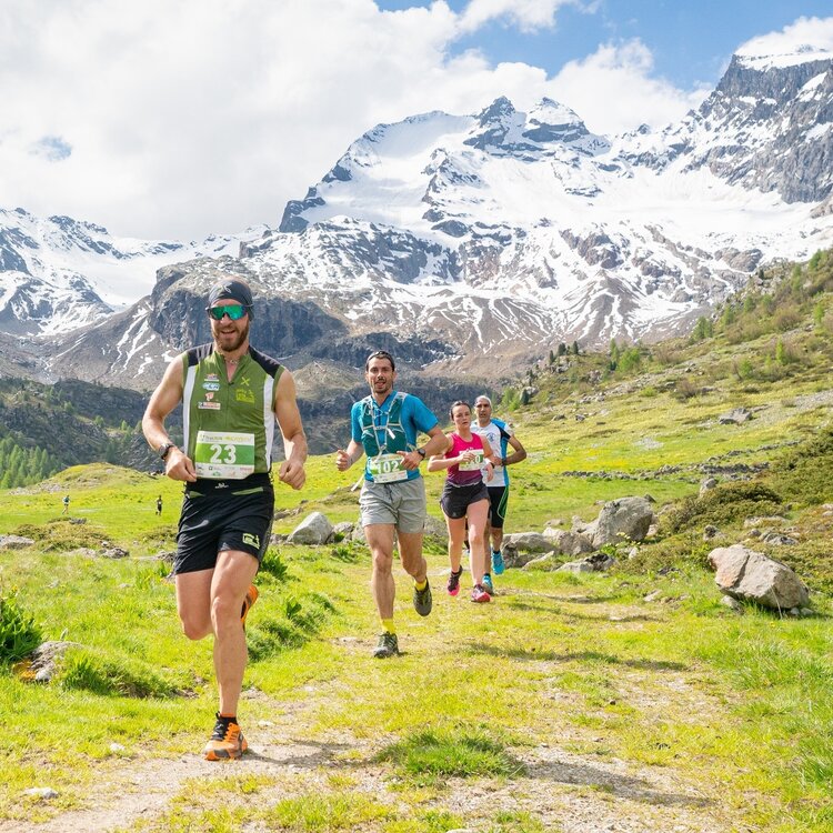 TrailRun Alta Valtellina - route