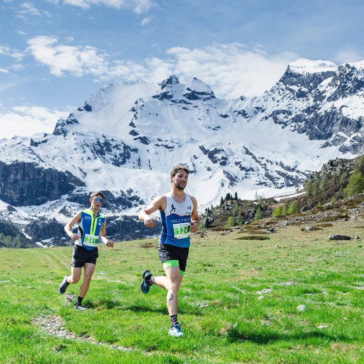 TrailRun Alta Valtellina