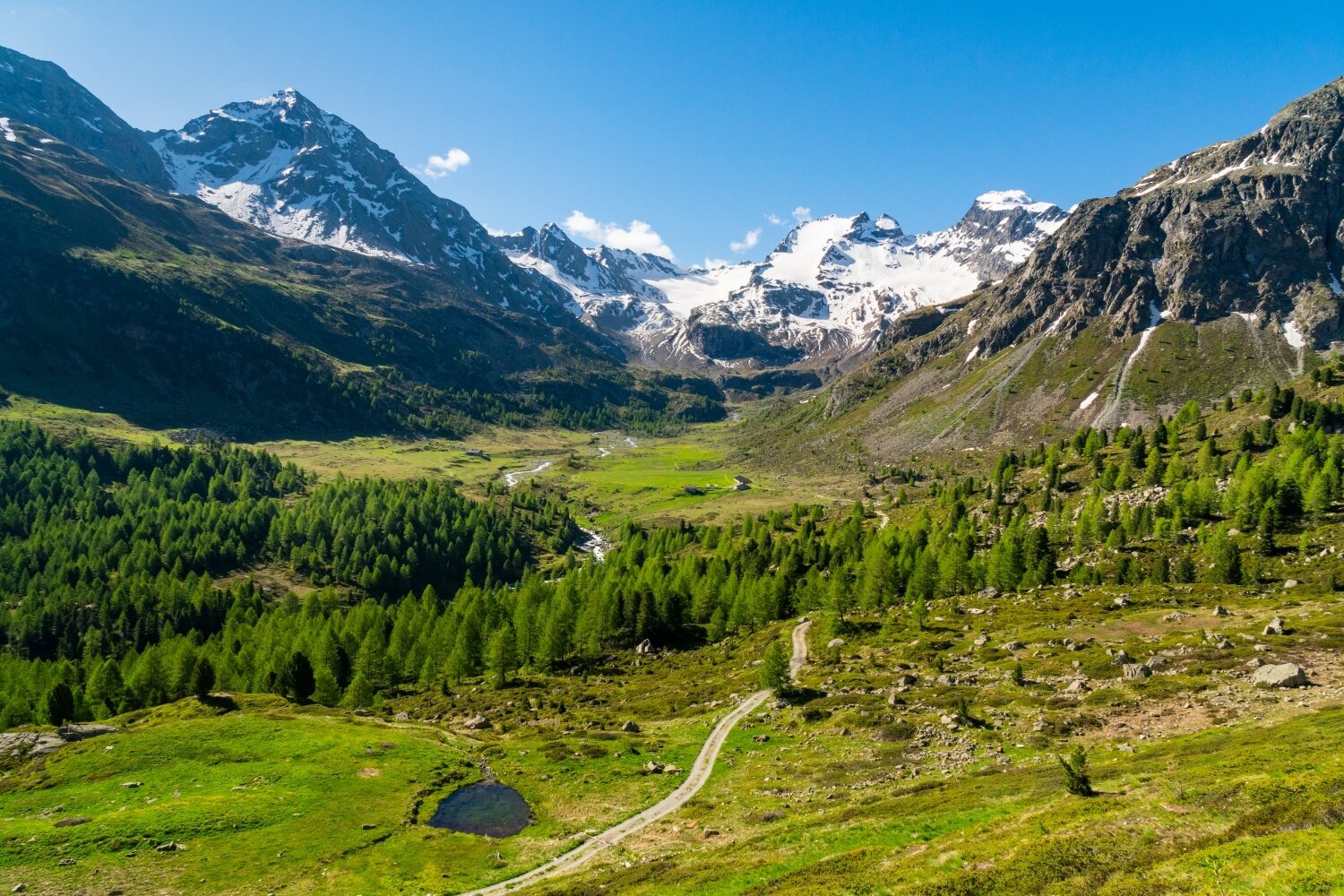 Img2 96708583 Default Variant