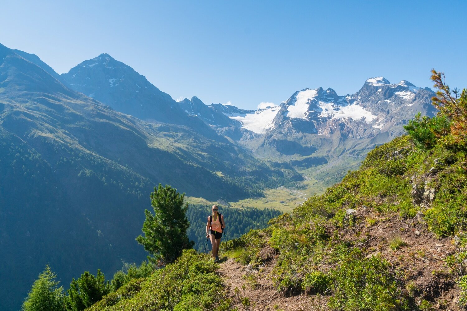 Img2 96708610 Default Variant