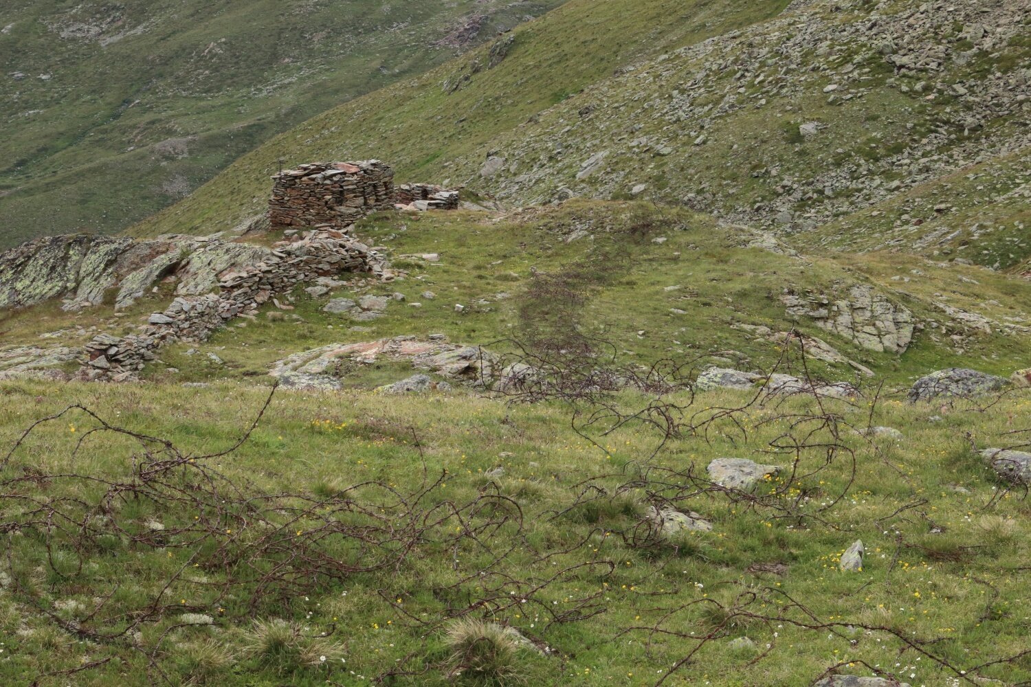 Img2 616364607 Default Variant