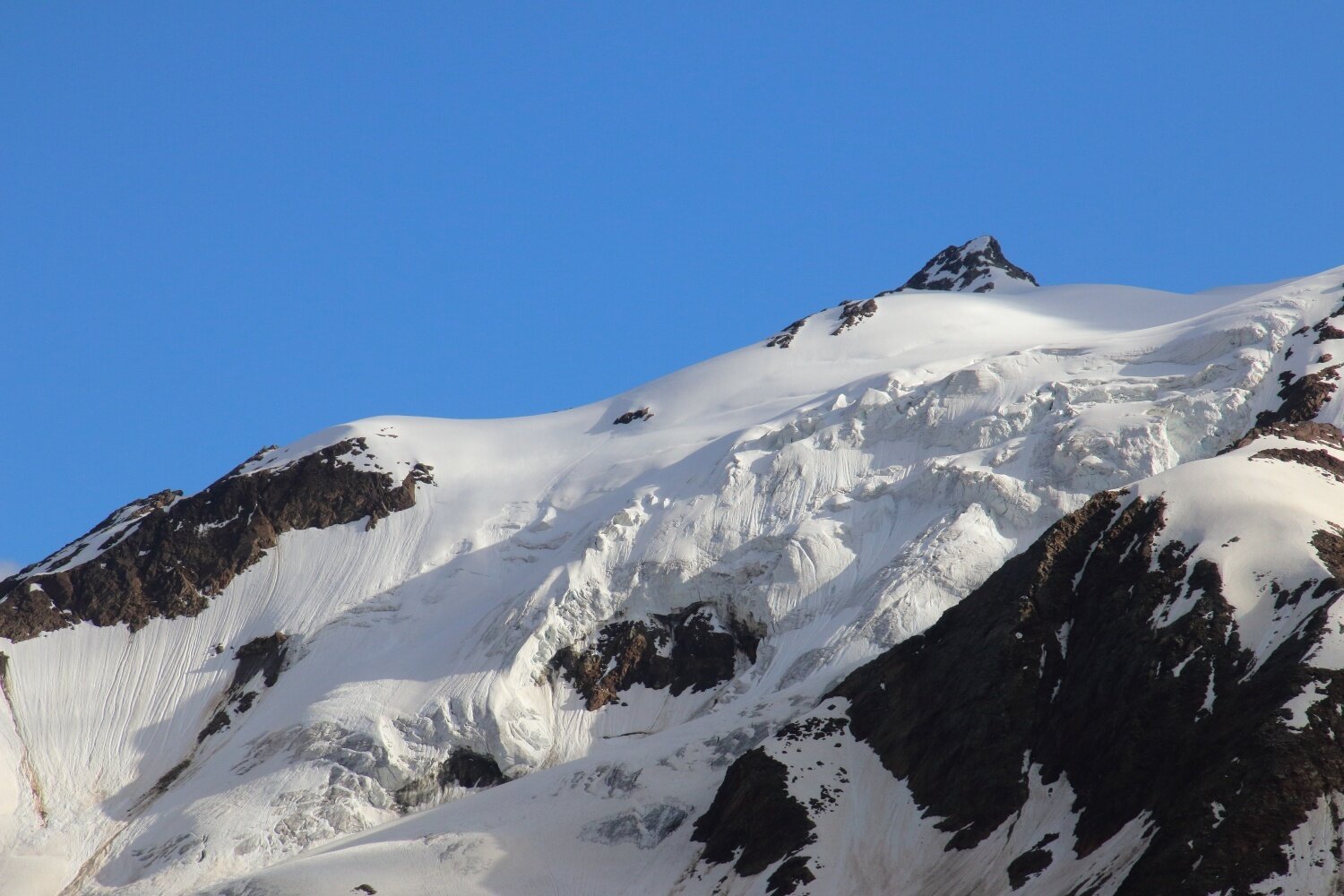 Img2 616364612 Default Variant