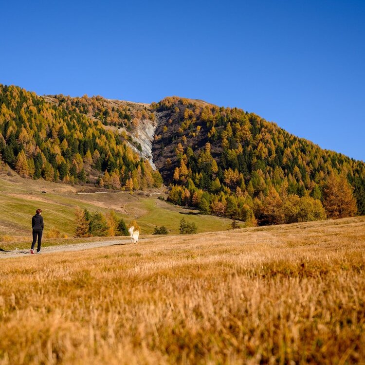 Trivigno - Passo Guspessa