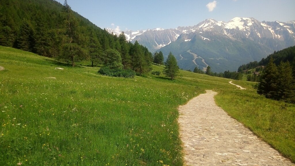 Img2 97575303 Default Variant