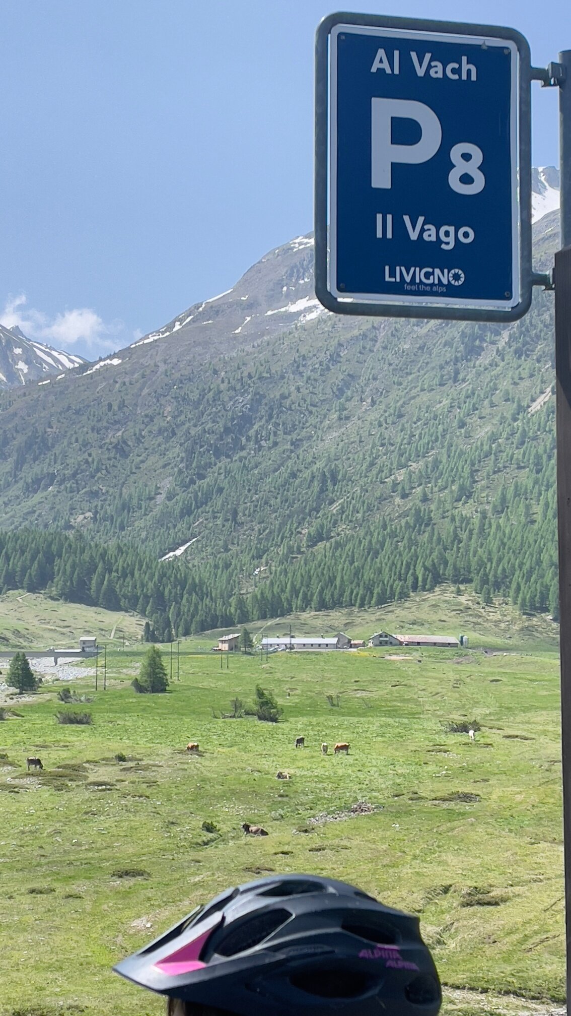 Img2 629961351 Default Variant