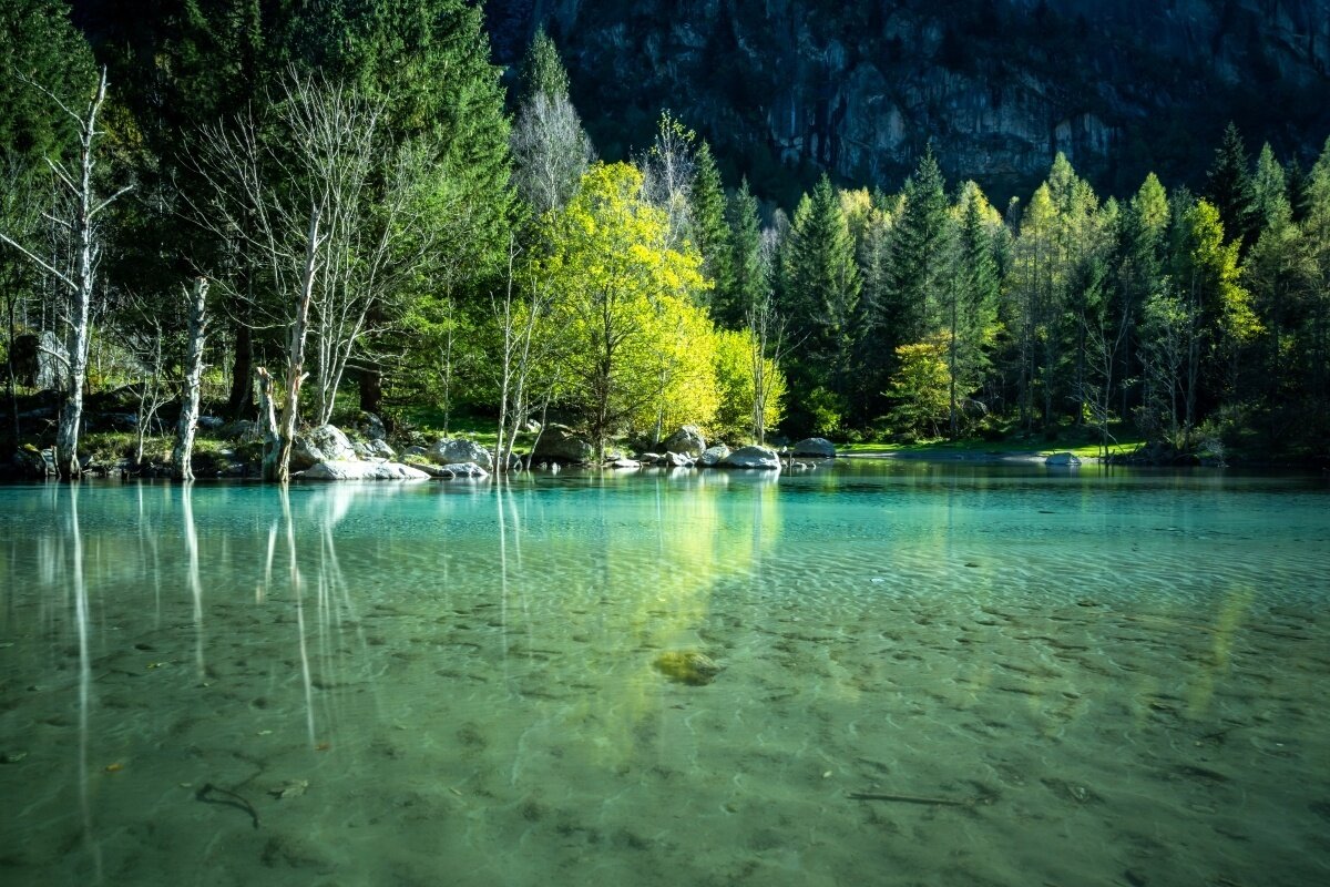 Img2 622130738 Default Variant