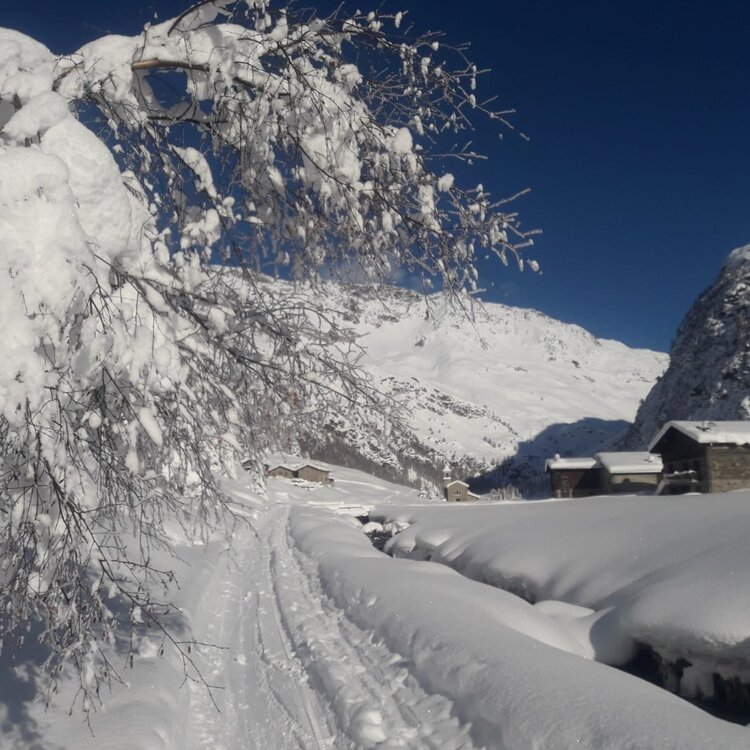 Val Di Rezzalo Fontanaccia San Bernardo 804595796