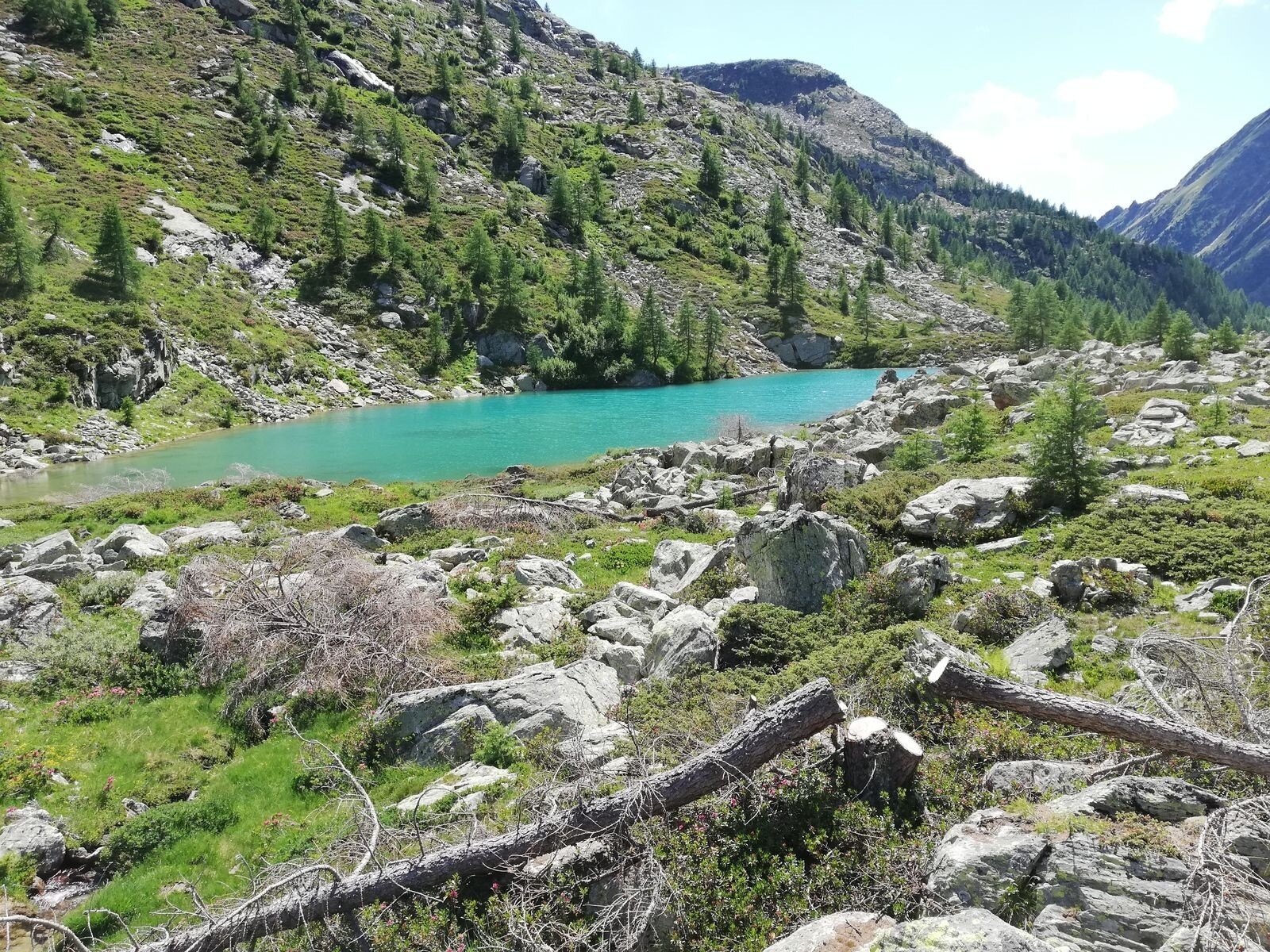 lago painale