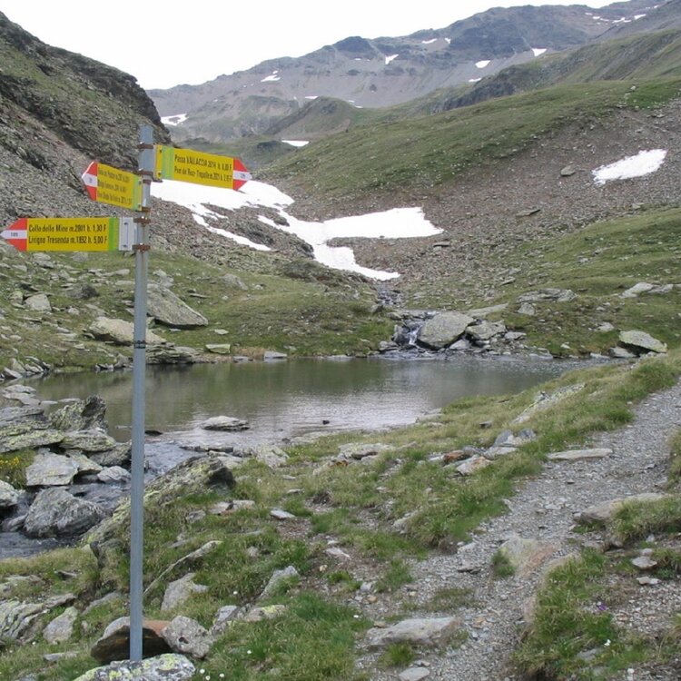 Val Minestra e Vallaccia