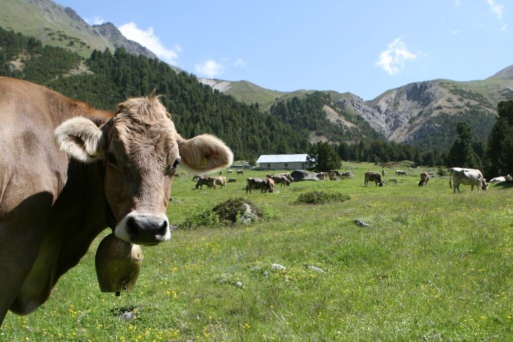 Val Mora